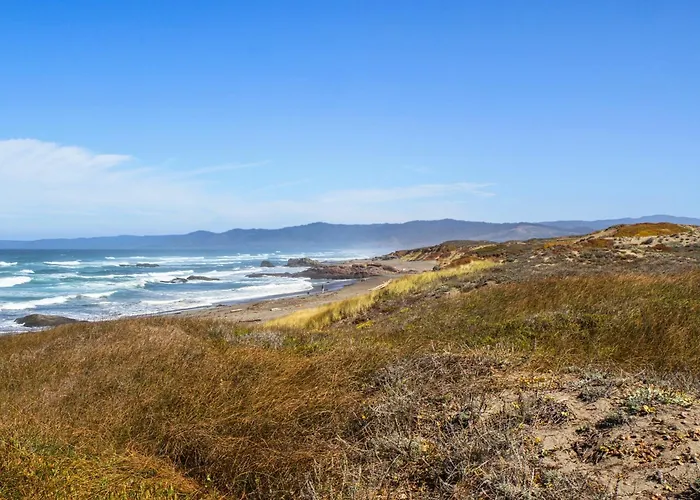 Oceanfront Studio-Beachfront Bliss & Pet-Friendly